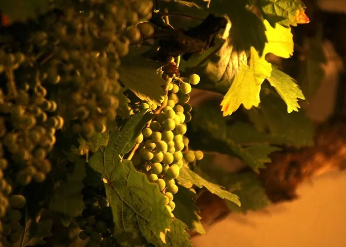 Simonis 3* 코베른곤도르프